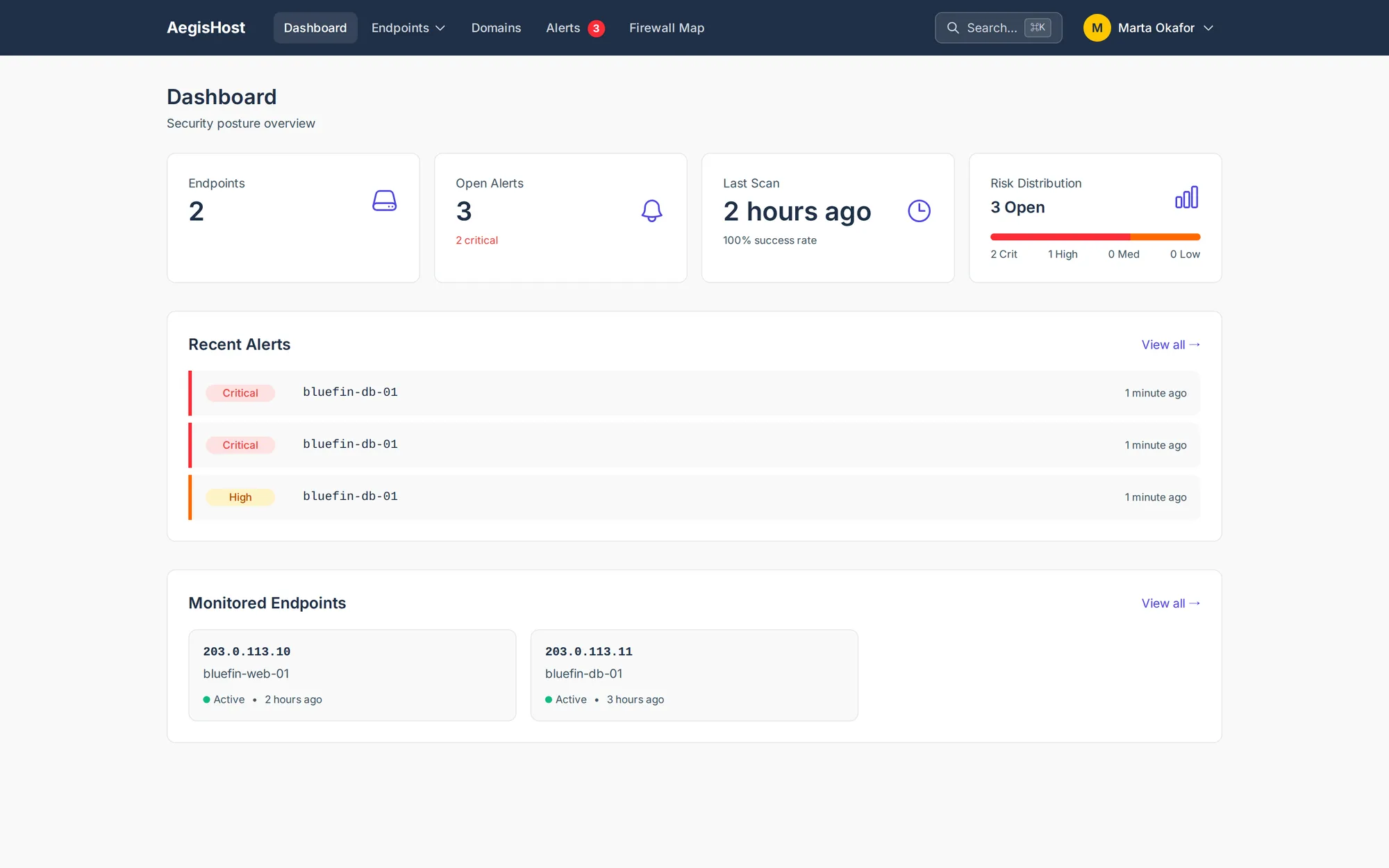 White-labeled customer dashboard in the AegisHost demo: endpoints and security alerts